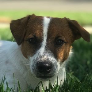 Meet your Posher, Matt